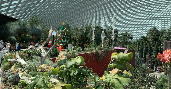 Photos from Singapore’s Gardens by the Bay, Flower Dome, and Cloud Forest Photos from Singapore’s Gardens by the Bay, Flower Dome, and Cloud Forest