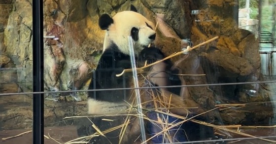 Adelaide’s Beautiful Zoo and Botanic Garden