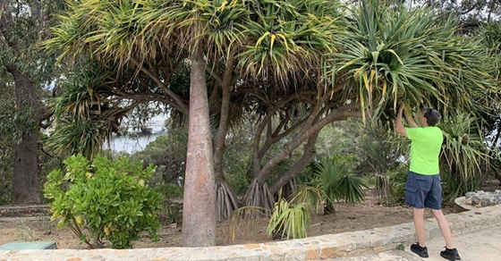 Photo Tips & Tricks Photo Tips & Tricks