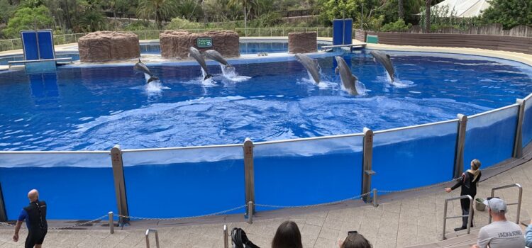 Palmitos Park: A World-class Zoo/Botanical Garden on Gran Canaria